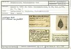 Karteikarte zum Lectotyp von Frondicularia fuchsii Karrer, 1870